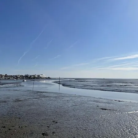 Ville les flots bleus Proche golf Arcachon-2